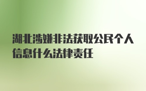 湖北涉嫌非法获取公民个人信息什么法律责任