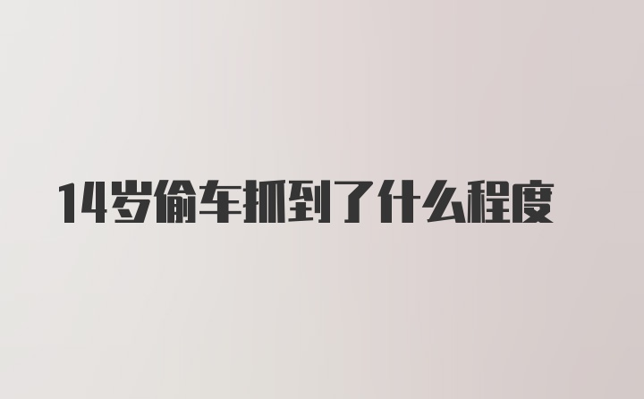 14岁偷车抓到了什么程度