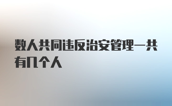 数人共同违反治安管理一共有几个人