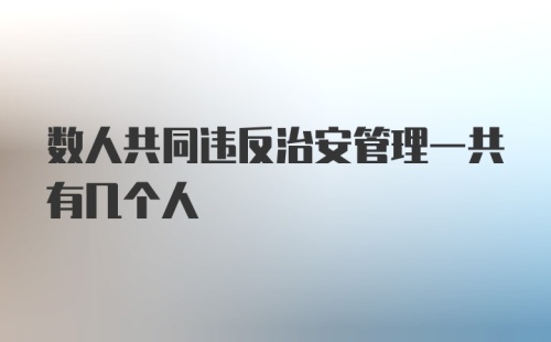 数人共同违反治安管理一共有几个人