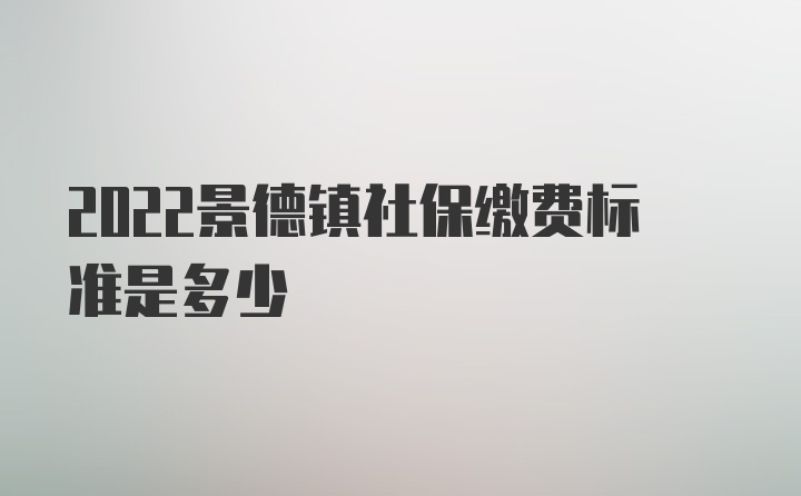 2022景德镇社保缴费标准是多少