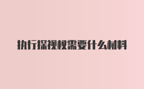 执行探视权需要什么材料