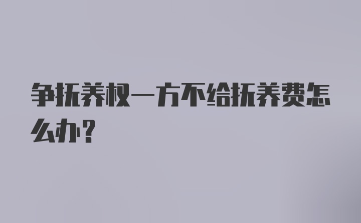 争抚养权一方不给抚养费怎么办？