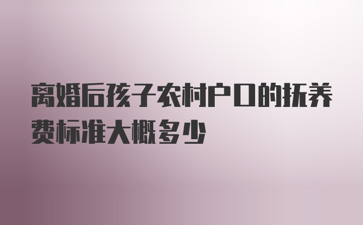 离婚后孩子农村户口的抚养费标准大概多少