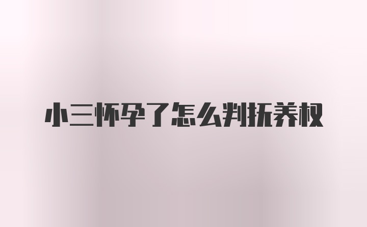 小三怀孕了怎么判抚养权