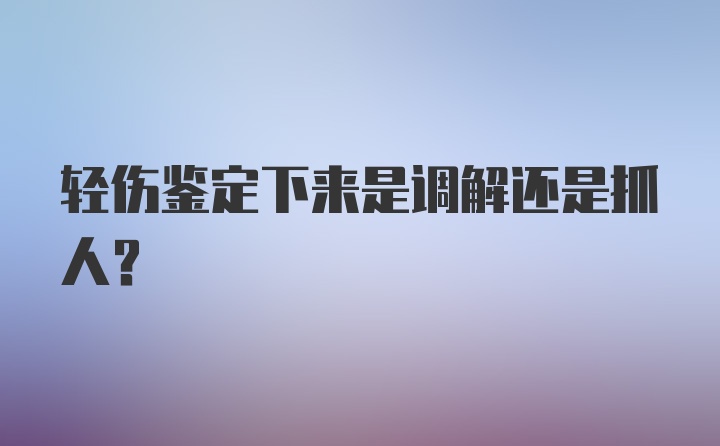 轻伤鉴定下来是调解还是抓人？