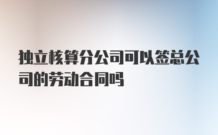 独立核算分公司可以签总公司的劳动合同吗