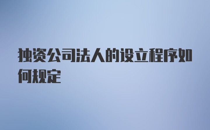 独资公司法人的设立程序如何规定