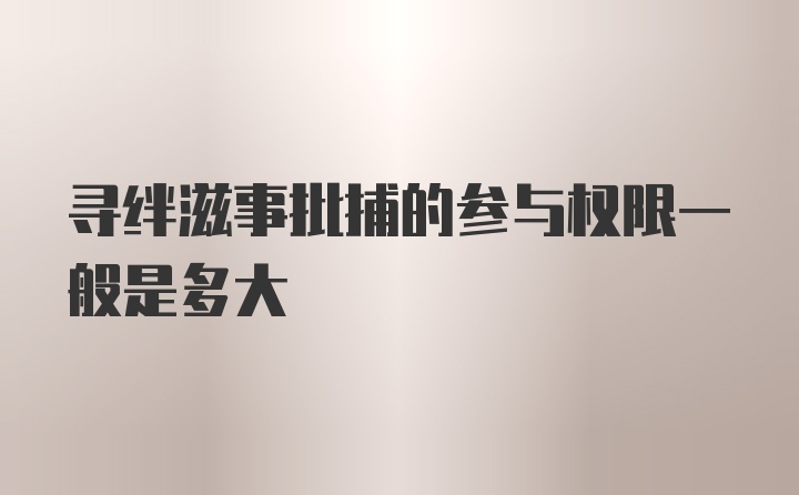 寻绊滋事批捕的参与权限一般是多大