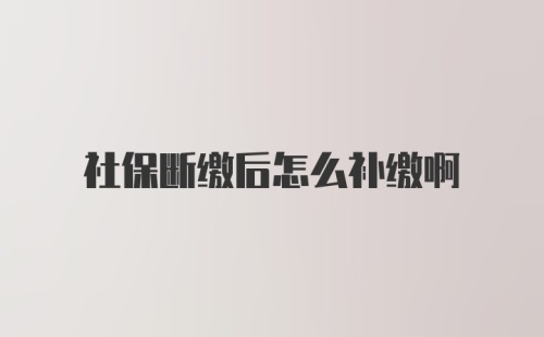 社保断缴后怎么补缴啊