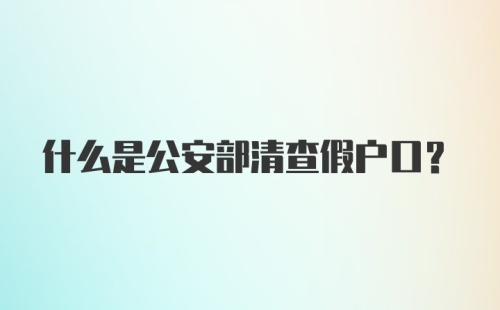 什么是公安部清查假户口？