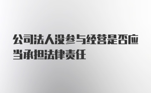 公司法人没参与经营是否应当承担法律责任