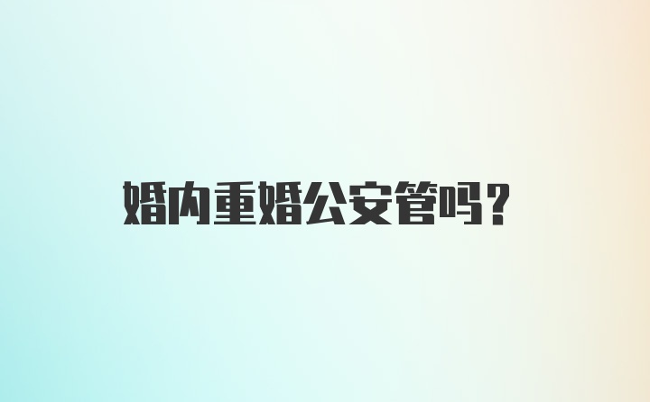 婚内重婚公安管吗？