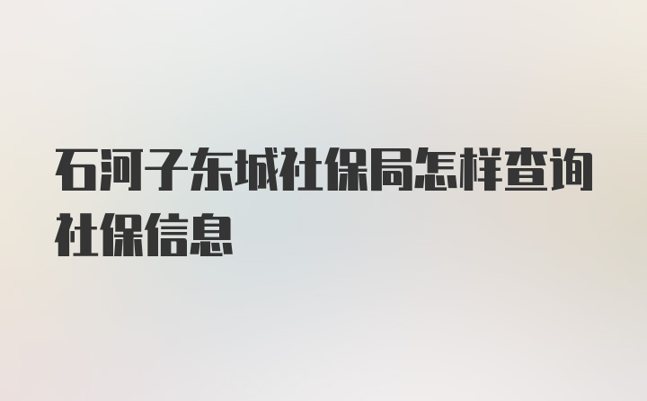 石河子东城社保局怎样查询社保信息