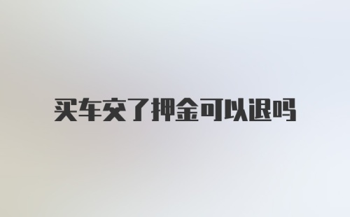 买车交了押金可以退吗