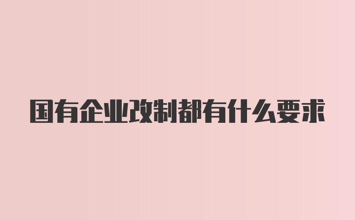 国有企业改制都有什么要求