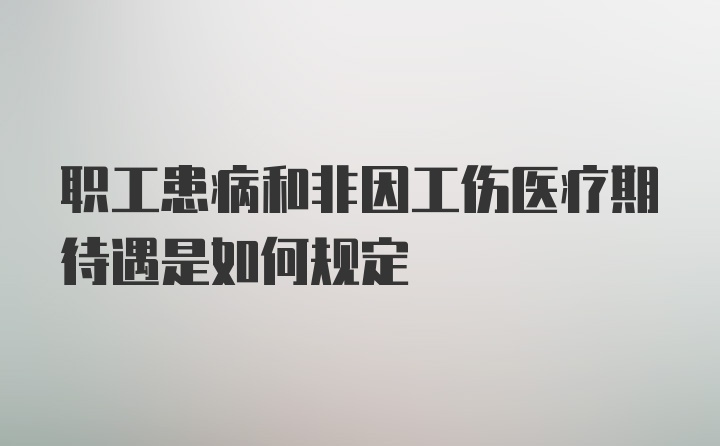 职工患病和非因工伤医疗期待遇是如何规定