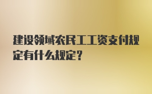 建设领域农民工工资支付规定有什么规定？