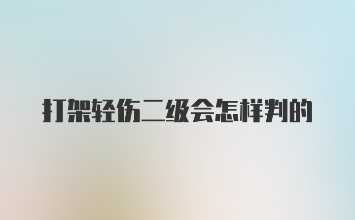 打架轻伤二级会怎样判的