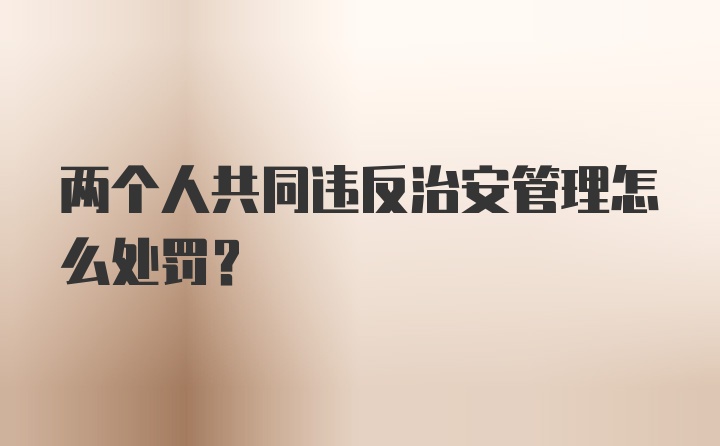 两个人共同违反治安管理怎么处罚？