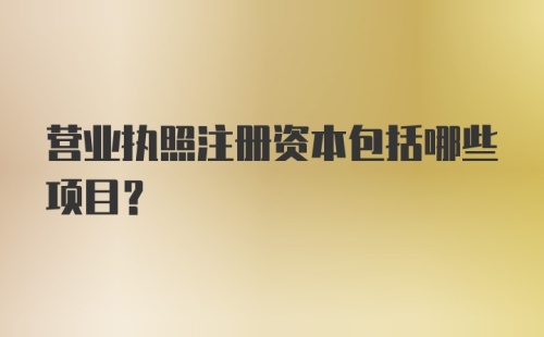 营业执照注册资本包括哪些项目？