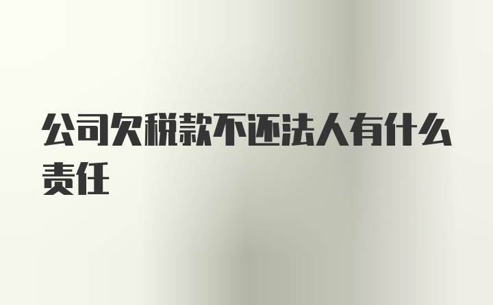 公司欠税款不还法人有什么责任