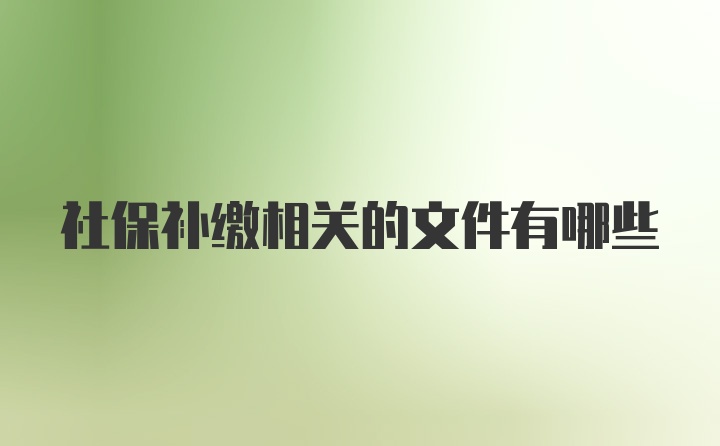 社保补缴相关的文件有哪些