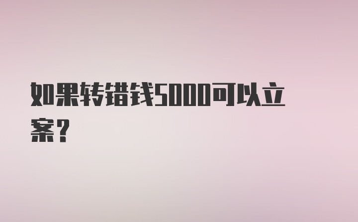 如果转错钱5000可以立案？