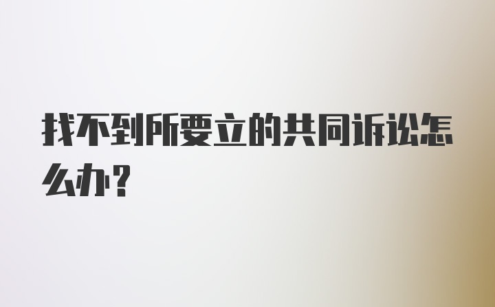 找不到所要立的共同诉讼怎么办？