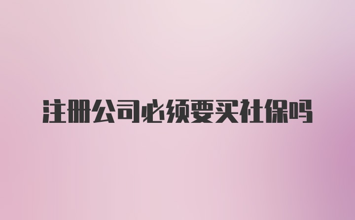 注册公司必须要买社保吗