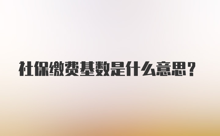 社保缴费基数是什么意思？