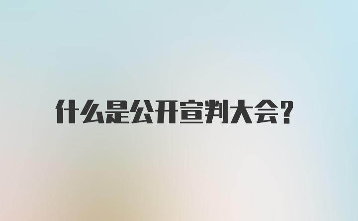 什么是公开宣判大会？