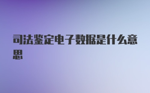 司法鉴定电子数据是什么意思