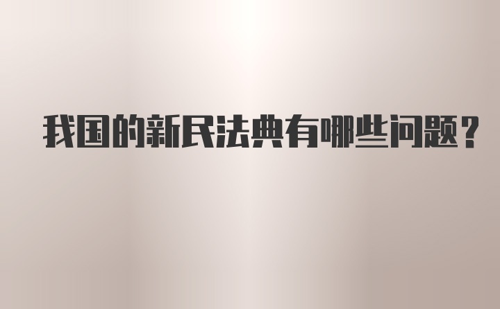 我国的新民法典有哪些问题?