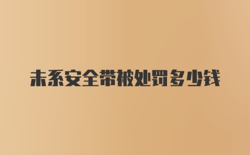 未系安全带被处罚多少钱