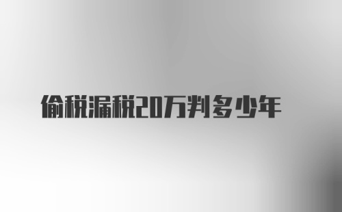 偷税漏税20万判多少年