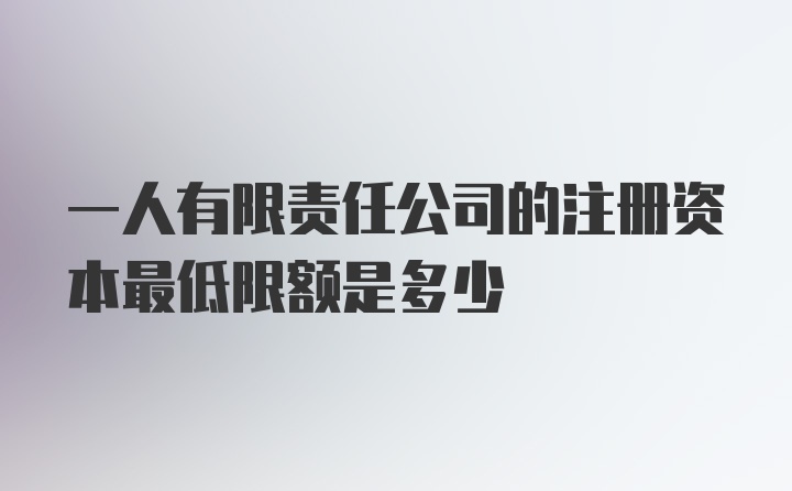 一人有限责任公司的注册资本最低限额是多少