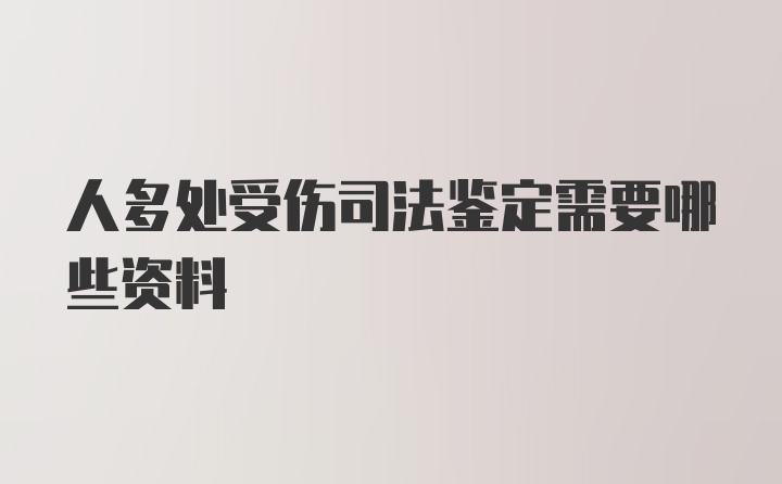 人多处受伤司法鉴定需要哪些资料