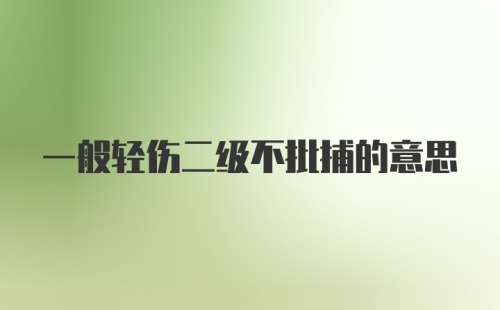 一般轻伤二级不批捕的意思