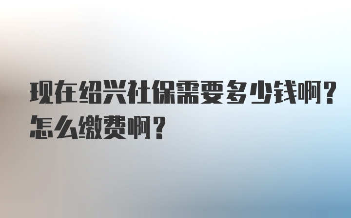 现在绍兴社保需要多少钱啊？怎么缴费啊？