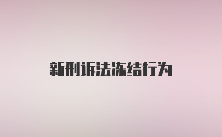 新刑诉法冻结行为