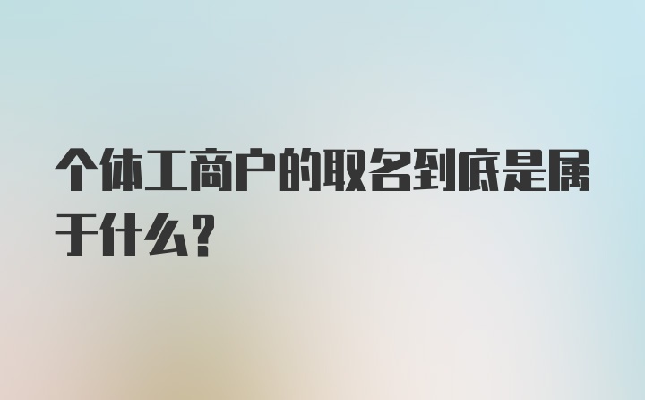 个体工商户的取名到底是属于什么？