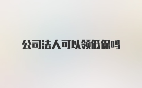 公司法人可以领低保吗