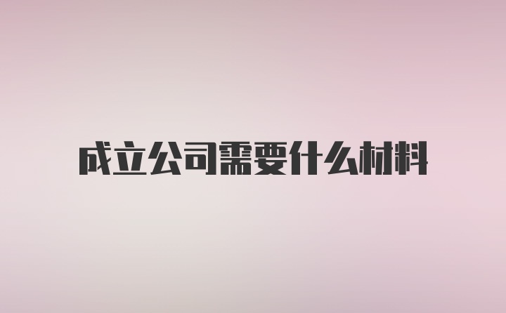 成立公司需要什么材料