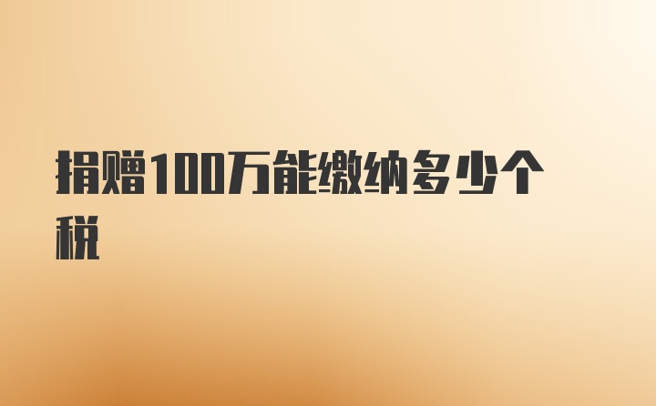 捐赠100万能缴纳多少个税