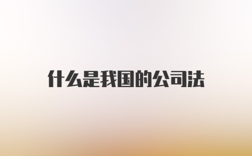 什么是我国的公司法