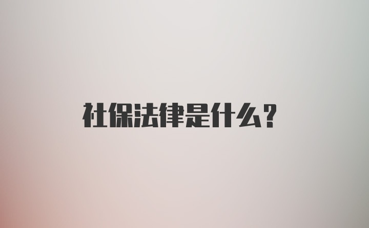 社保法律是什么？