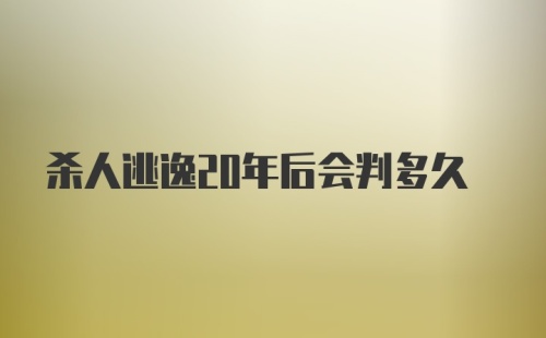 杀人逃逸20年后会判多久