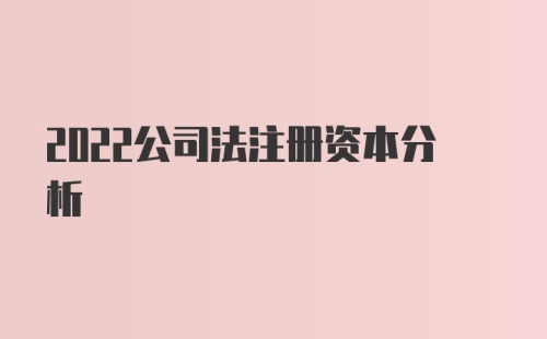 2022公司法注册资本分析