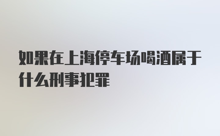 如果在上海停车场喝酒属于什么刑事犯罪